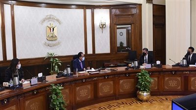 رئيس الوزراء يستعرض عددا من مقترحات مشروعات الهيدروجين الأخضر