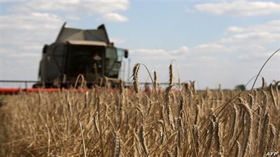 متحدث الوزراء: أسمدة مدعمة للفلاح الذي يورد القمح للدولة