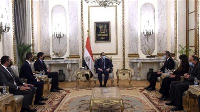 رئيس الوزراء يلتقى الرئيس التنفيذى لشركة 