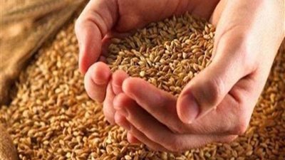 بسبب القمح.. مسئول صعيدي ينفعل على الهواء ويوجه تلك الرسالة