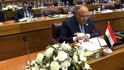 وزير الخارجية: لا حل لقضية فلسطين دون إنشاء دولة مستقلة