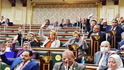 مجلس النواب يوافق نهائيا على قانون سلامة السفن