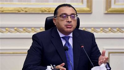 رئيس الوزراء يلتقى رئيس شركة مايكروسوفت