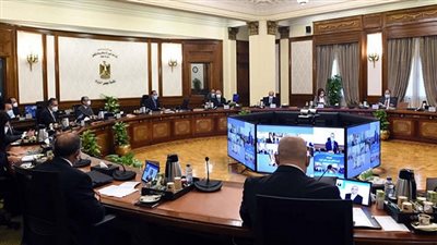 الحكومة توافق على إعفاء 20 ألف طن دواجن مجمدة من الضرائب الجمركية