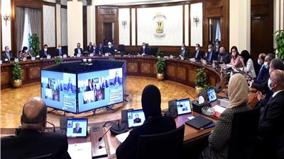 الحكومة توافق على إنشاء منطقة حرة خاصة لشركة المجموعة المصرية للمحطات