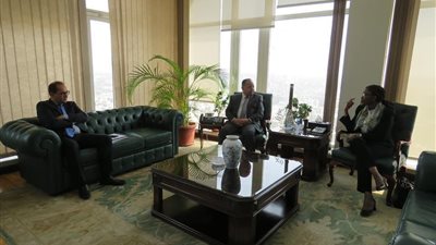 وزير المالية يدعو إلى رؤية أفريقية موحدة فى قضايا التمويل 