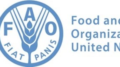 الفاو تحذر من تعرض ثلثى السكان فى جنوب السودان للجوع 