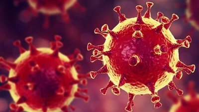 الصحة: متوسط الإصابات اليومى لفيروس كورونا 124 حالة و6 وفيات