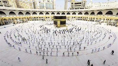 ‎التضامن: فتح باب التقديم لحج الجمعيات الأهلية 