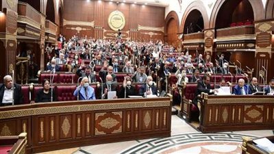 مجلس الشيوخ يرفض رفع الحصانة عن النائب مجد حسيبو