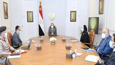 الرئيس السيسى يوجه بتطوير الطاقة الإنتاجية المحلية من لبن الأطفال
