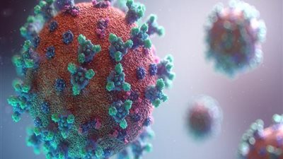 الصحة: متوسط إصابات كورونا اليومى 46 حالة إيجابية و5 وفيات