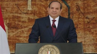 الرئيس السيسي: قدمنا الدعم والحماية الاجتماعية اللازمة للفئات الأكثر احتياجا