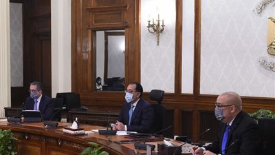 الحكومة توافق على تأسيس شركة لتشغيل محطات شحن كهربائية للسيارات