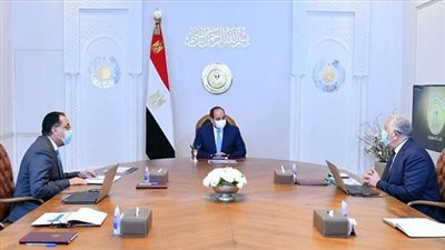 وزير الزراعة يستعرض أمام الرئيس السيسي مستجدات موسم حصاد القمح الحالى