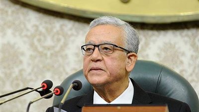 رئيس مجلس النواب يهنئ النائبة ضحى عاصى لحصولها على عضوية اتحاد الكتاب الروسى