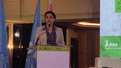 مسئولة أممية تشيد بـ