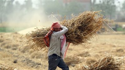 بيان للحكومة بخصوص خطة الاكتفاء الذاتي من السلع