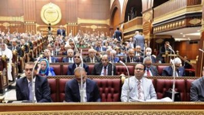 الشيوخ يوصى الحكومة بإنشاء هيئة لاكتشاف ورعاية المواهب الرياضية