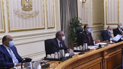 رئيس الوزراء: توجيه من الرئيس بتطوير أسواق بيع الرؤوس الحية