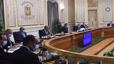 الحكومة: وقف الدعم لأكثر من 8 آلاف مخالف بالتعدى على الأراضى الزراعية