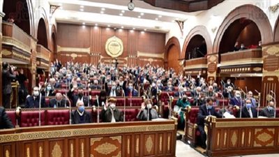 مجلس الشيوخ ينتهى من قانون الرياضة الإثنين المقبل