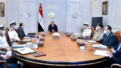 الرئيس السيسى يوجه باستكمال تنفيذ مشروعات حماية شواطئ الاسكندرية 