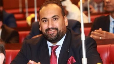 برلماني: زيارة أمير قطر تؤكد نجاح السياسية الخارجية لمصر