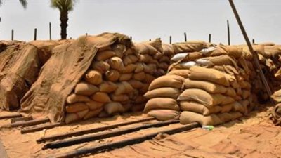 وزير التموين: التعاقد على شراء 180 ألف طن قمح من الهند