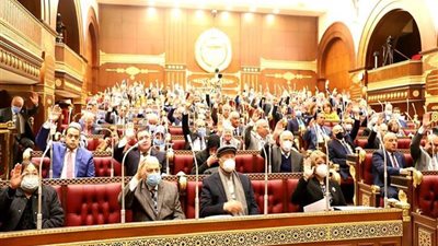 مجلس الشيوخ يقر إنشاء مركز تسوية المنازعات الرياضية بقانون الرياضة