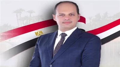 برلماني :  30 يونيو أعادت تصحيح المسار وأنقذت الدولة من الانهيار 
