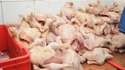 بحملة تموينية.. مصادرة 3 أطنان دواجن غير صالحة للإستهلاك الأدمي