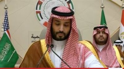 السعودية: التغير المناخي يقتضي تبني نهج متوازن لتحقيق التنمية المستدامة