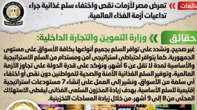 الحكومة تنفى تعرض مصر لنقص أو اختفاء سلع غذائية