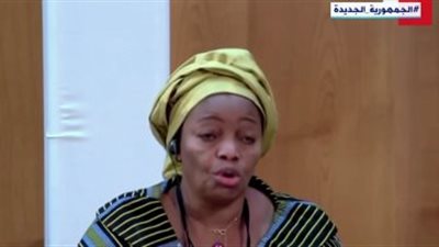 وزير البيئة الكونغولية: ننسق مع مصر لعقد مؤتمر عن المناخ