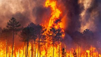 الحكومة التونسية: السيطرة على 90% من حرائق الجبال