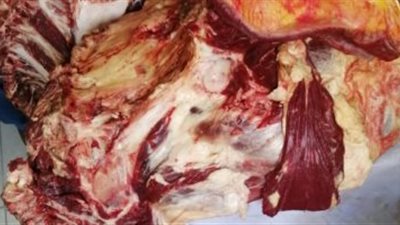 شرطة التموين تضبط 1504 قضايا متنوعة