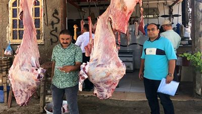 تموين الدقهلية.. تضبط لحوم غير صالحة للاستهلاك الآدمي ومواد غذائية مجهولة المصدر 
