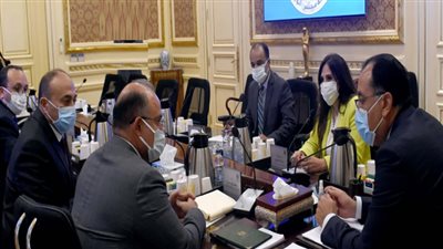 رئيس الوزراء يلتقى الدكتور محمد فريد