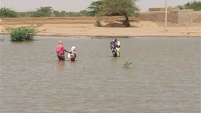 الأزهر يعزي السودان في ضحايا السيول والفيضانات
