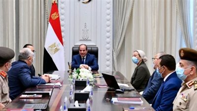 الرئيس يوجه بدراسة شاملة لتطوير بحيرة ناصر والاستفادة من ثروتها السمكية