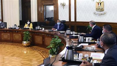 مجلس الوزراء: مشروع 