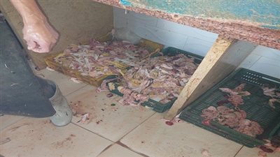 غلق 3 منشآت  في السويس وإعدام 119 كيلو أغذية