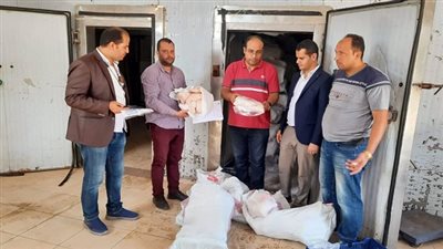 تموين الدقهلية.. ضبط ٢ طن دجاج غير صالحة للاستهلاك الآدمي ولحوم خارج السلخانة