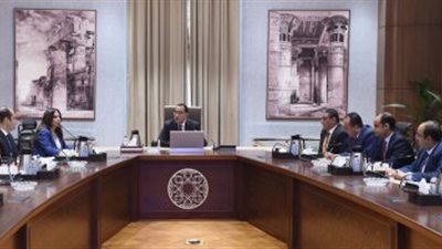 مدبولى يتابع مع رئيس 