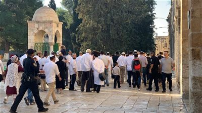 سياسى إسرائيلى متطرف يقود مستوطنين خلال اقتحامهم لباحات المسجد الأقصى