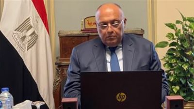 سامح شكري يستعرض الموقف المصري من القضايا الإقليمية والدولية