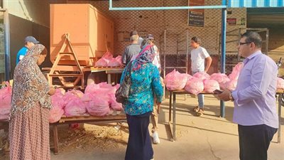 تموين الدقهلية.. تضبط مخابز مخالفة في حملة تموينية بميت سلسيل 