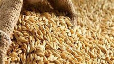 ضبط 14 طن أرز شعير محظور تداوله