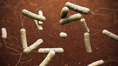 وزير الصحة اللبنانى: مخاوف من انتشار أوسع للكوليرا فى البلاد